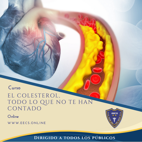 El colesterol, todo lo que no te han contado